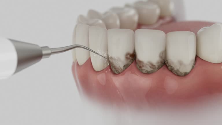 Reliable Dental contractor in North Fort Myers, FL by Dentist Open Now